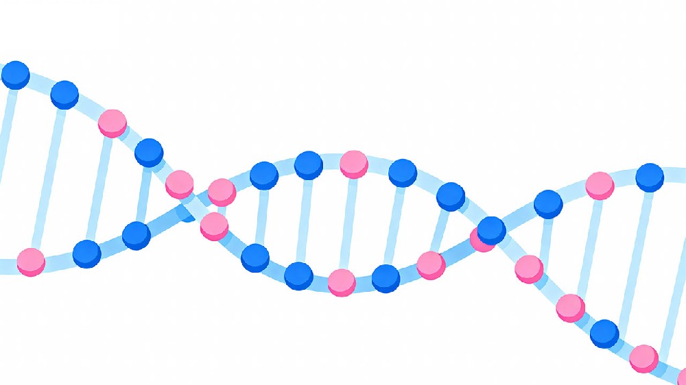 🧬基因是什么？基因检测又是什么？